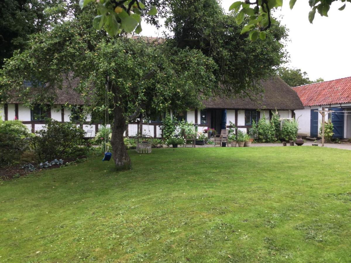 Filippavej 80 Bed & Breakfast Vester-Skerninge Bagian luar foto